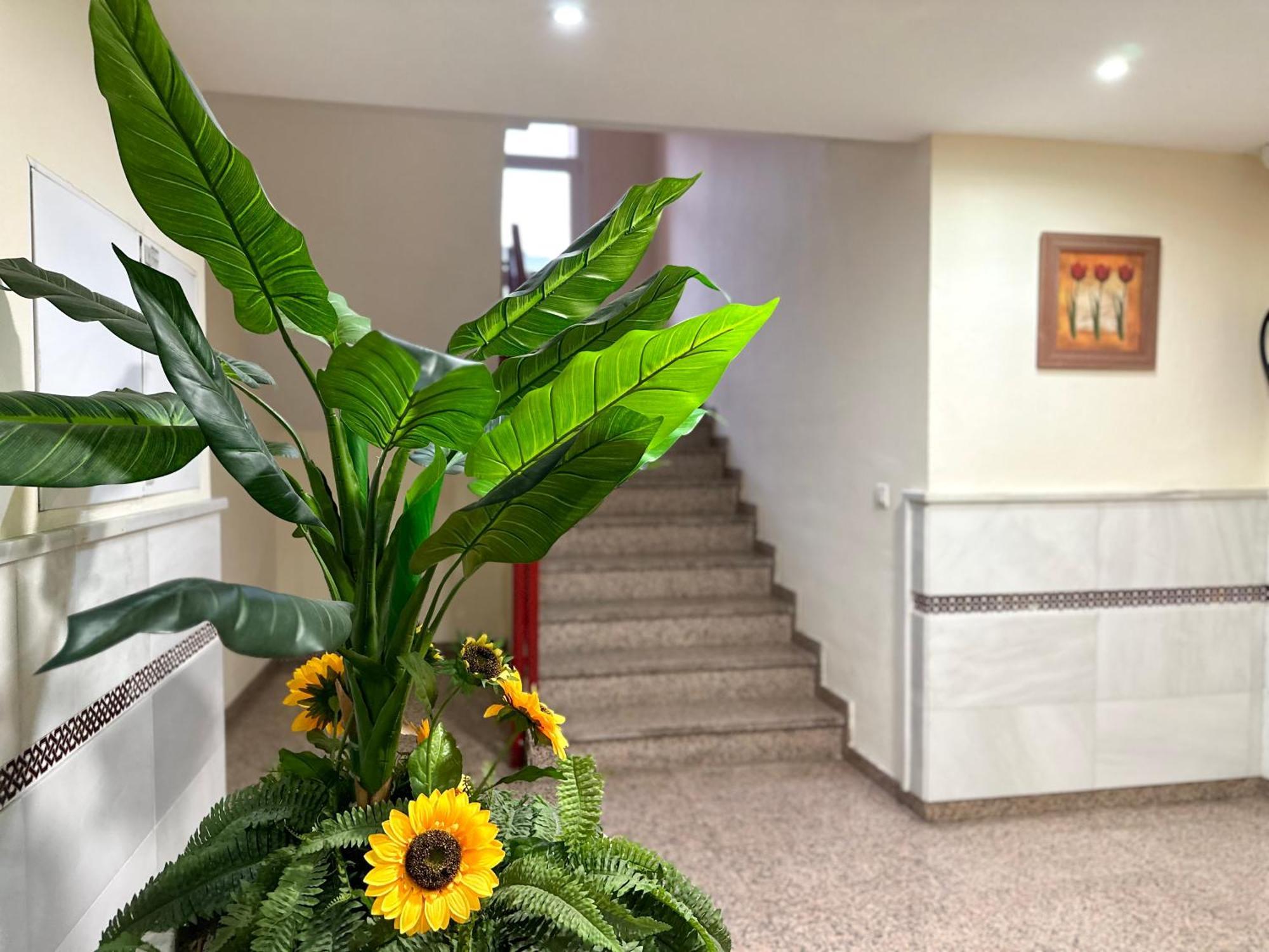 Costa Del Sol Seaside Studio - 5 Mins From Beach فوينخيرولا المظهر الخارجي الصورة